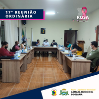 17° Reunião Ordinária 