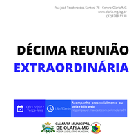 10ª Reunião Extraordinária