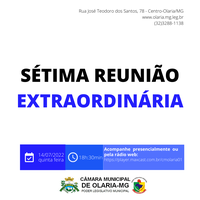 7ª Reunião Extraordinária